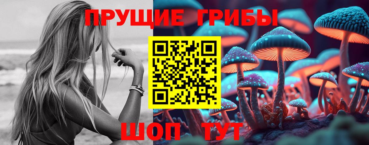 магазин продажи наркотиков  Галлюциногенные грибы GOLDEN TEACHER  Вход с VPN  Протвино 